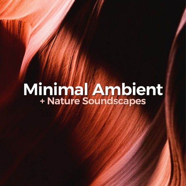 A big thanks to @lofiraul for adding my new track Naillirt to their Minimal ambient + Nature Soundscapes playlist.
Go follow the playlist and take a listen to the tracks. I've found some new faves in there.
.
.
.
#recording #music #synth #ambient #ambientguitar #Omnisphere #chill #soundscape #ambientmusic #guitarplayer #ambientnotes #instrumental #instrumentalmusic #newmusic #chilloutmusic #calmmusic #relaxingmusic #ableton #Abletonlive #bedroomproducer #musicvideo #madewithableton